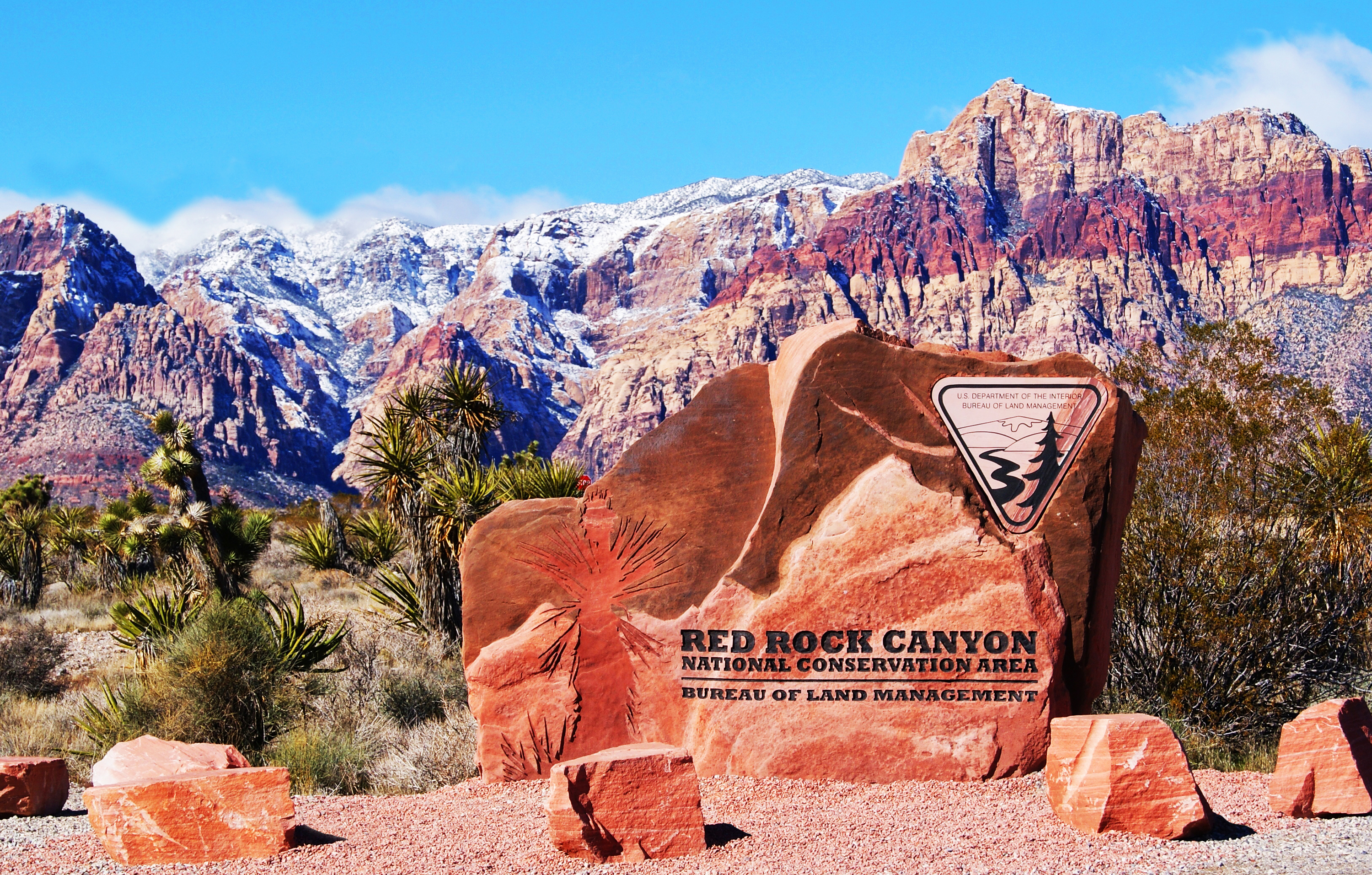 Grand Canyon Tours from Las Vegas